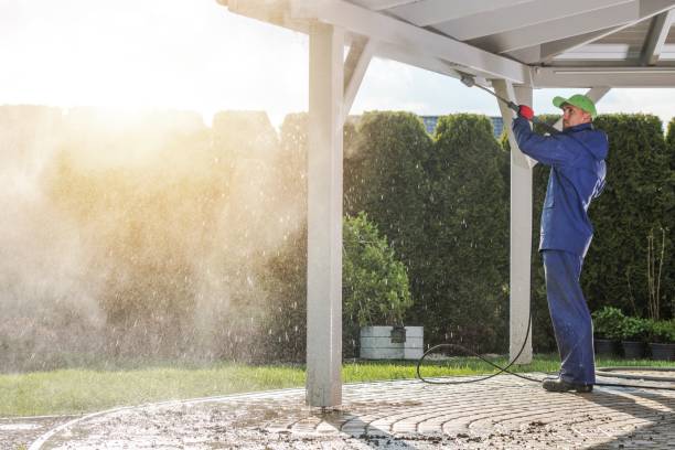 Best House Exterior Washing  in Oneonta, AL